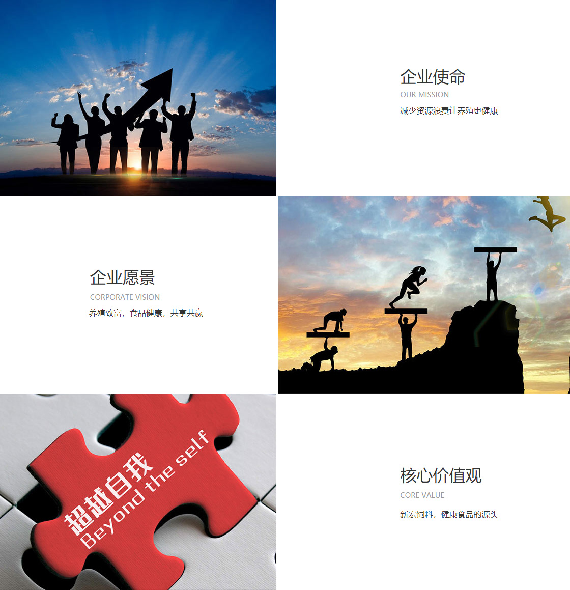 开云APP全站(图1)